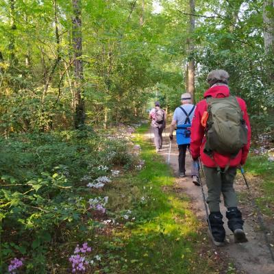 2024-09-21 Séance dans le bois de Ballan avec de belles rencontres