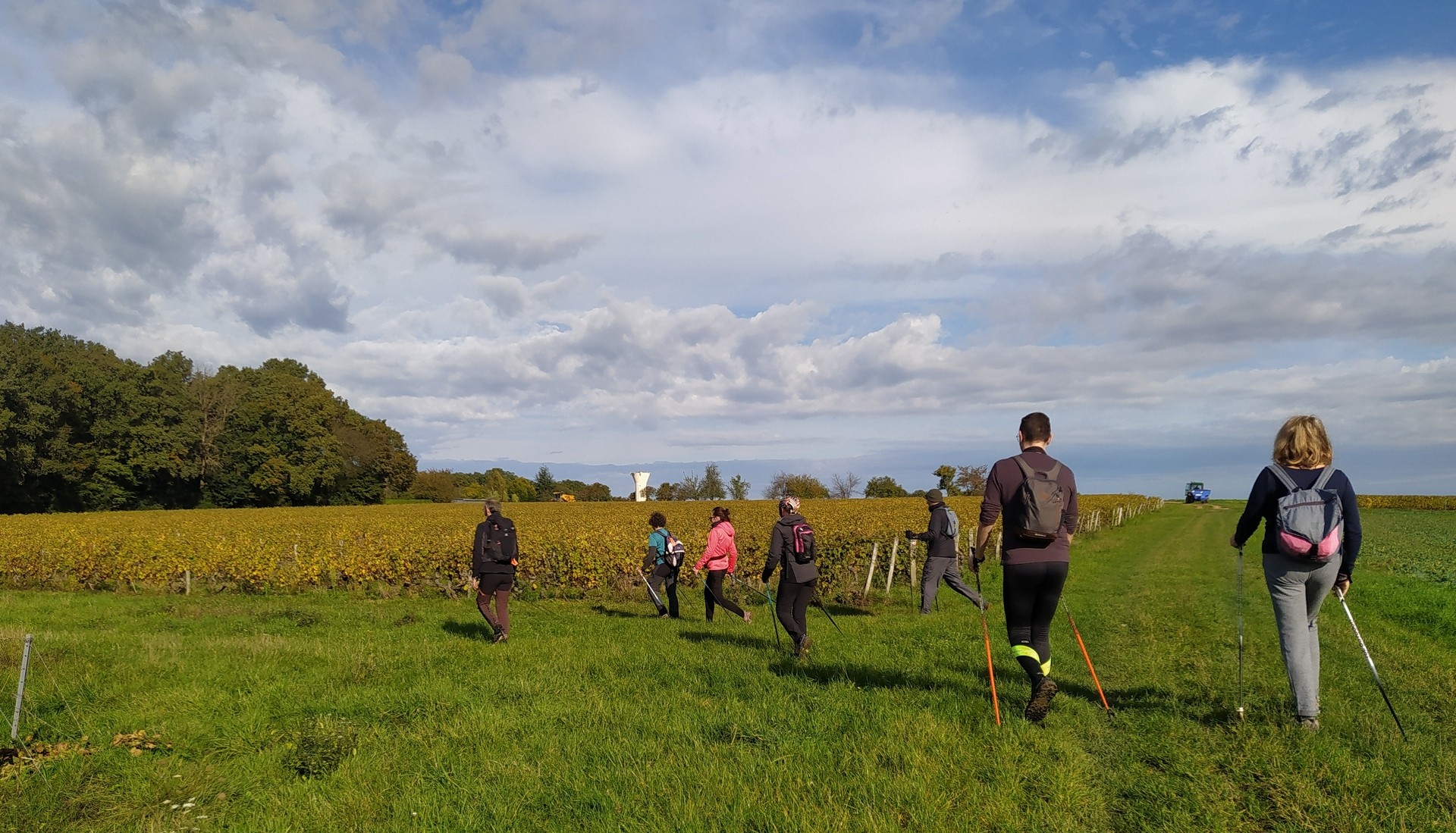 On traverse les vignes de Parçay