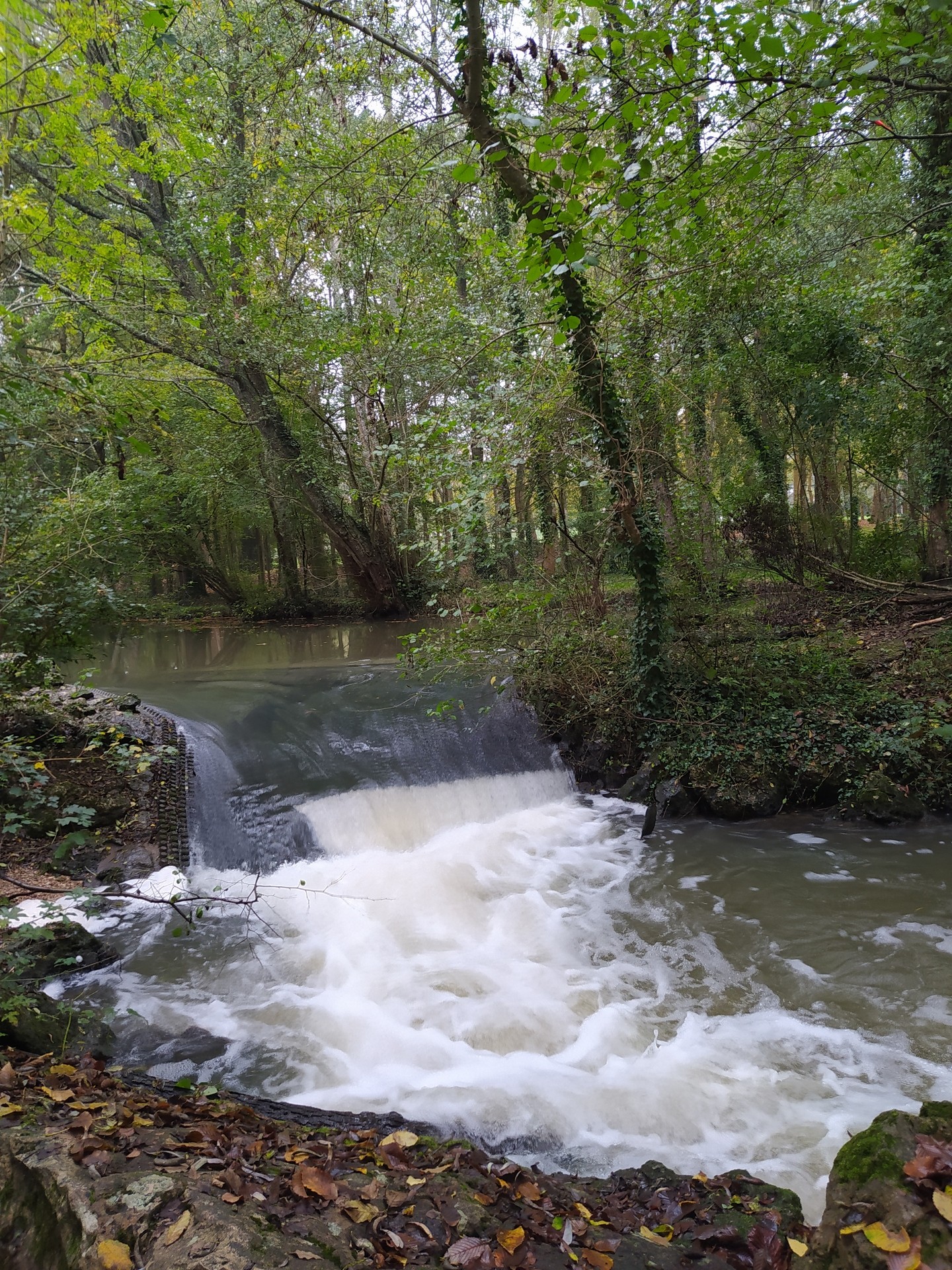 La cascade est bien alimentée